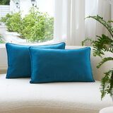 Blue velvet oblong cushion two pack