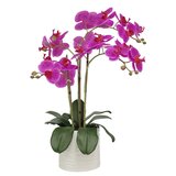 Artificial Orchid in Ribbed Ceramic Pot, Pink