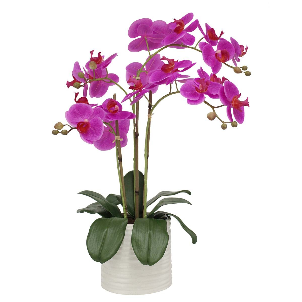 Artificial Orchid in Ribbed Ceramic Pot in 2 Colours