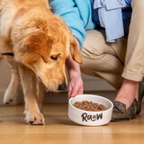 Raaw Natural Dog Feeding Guide