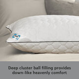 Sealy Deeply Full Pillow two pack