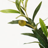 Close up of Beaumont Artificial Olive Tree in Planter