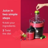 Descriptive image of Nutribullet Juicer