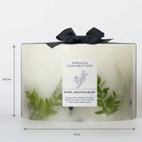 French Connection Botanical 1.5kg Candle in Vetivert, Eucalyptus & Sea Salt