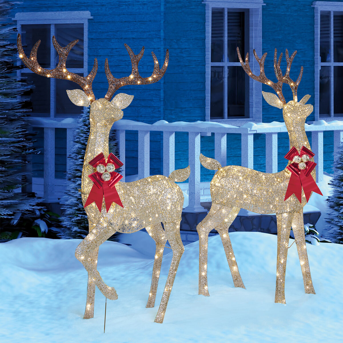 5ft 11 Inches (182.8 cm) Indoor/Outdoor Christmas Reindeer Family  Set