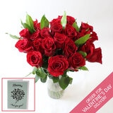 Valentine's 28 Stem Two Dozen Colombian Freedom Red Roses & Cocculus Bouquet with Greetings Card