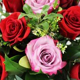 Valentine's 37 Stem Special Seasonal Rose Flower Bouquet with Greetings Card