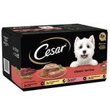 Cesar dog best sale food 36 pack