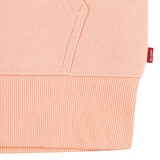 Levi Youth Zip Up Hoodie in Peach