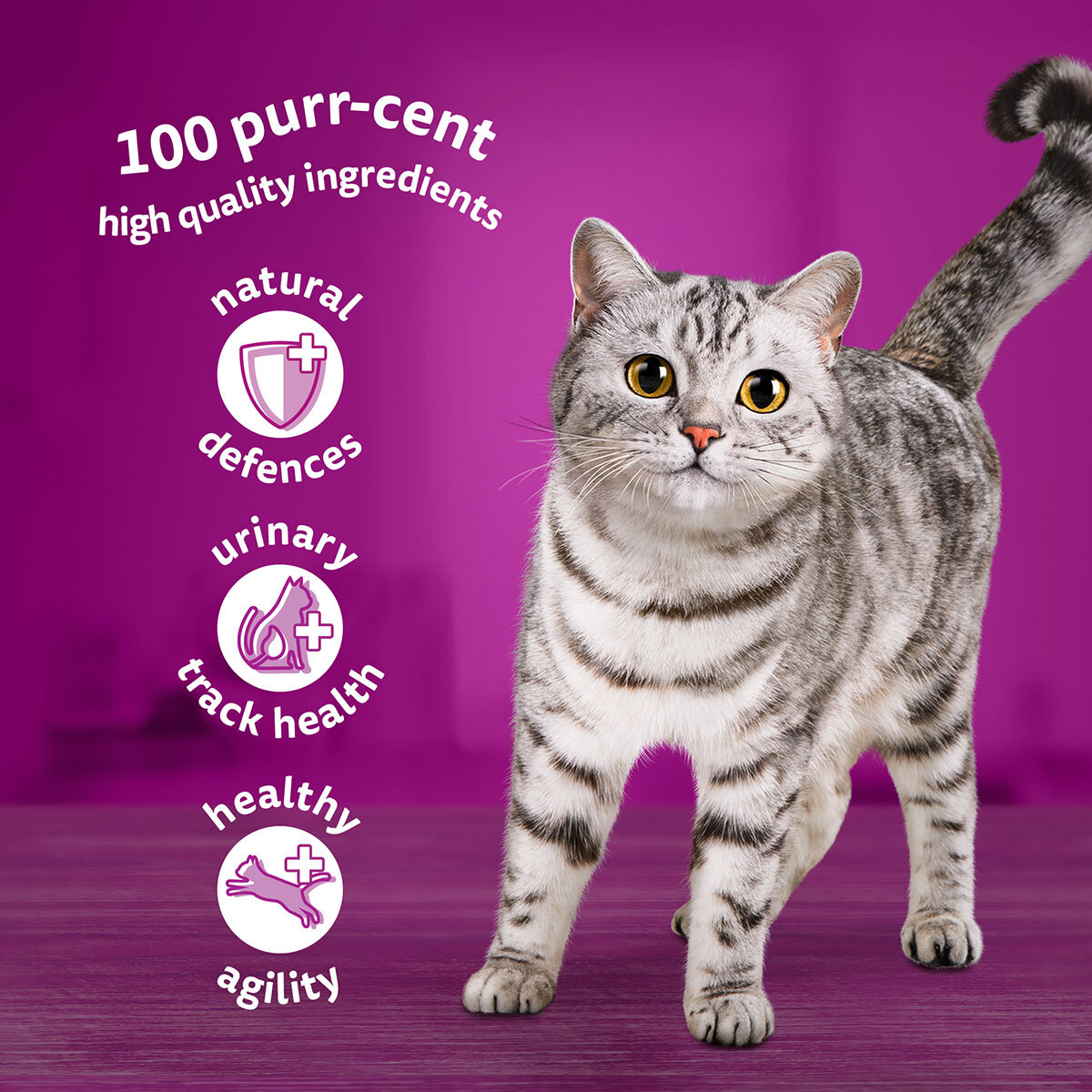 Whiskas costco hot sale