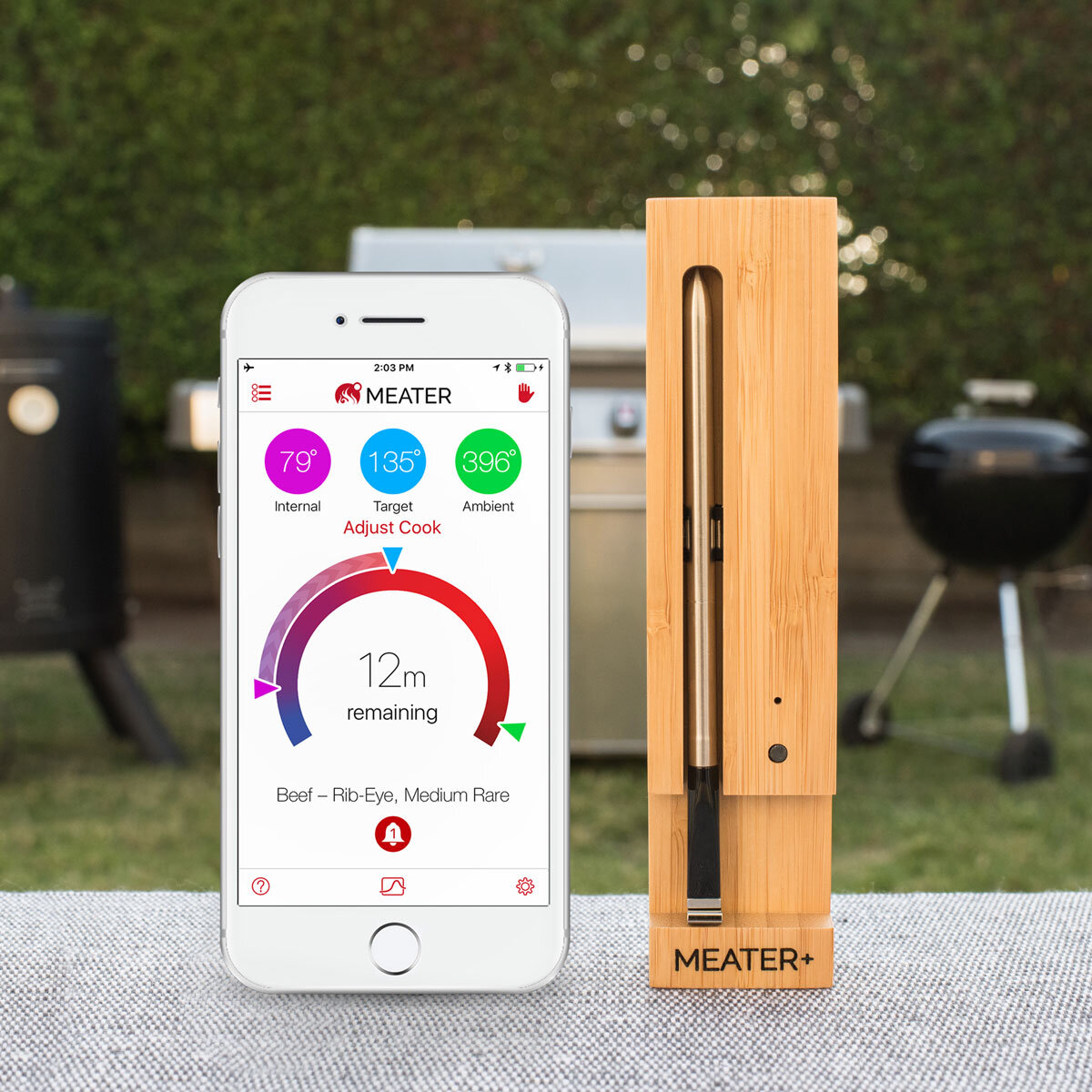 MEATER Plus Wireless Meat Thermometer | Costco UK