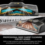 Shark CarpetXpert Carpet Cleaner Lifestyle Image