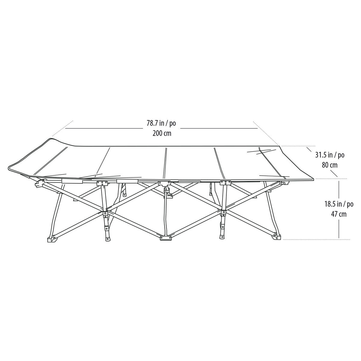 Hidden Wild XL Camp Cot