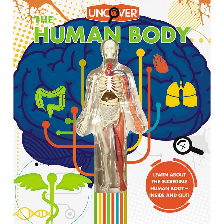 Human Body | Costco UK