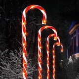 Buy 4 Piece candy Cane Lights Lifestyle Image at Costco.co.uk