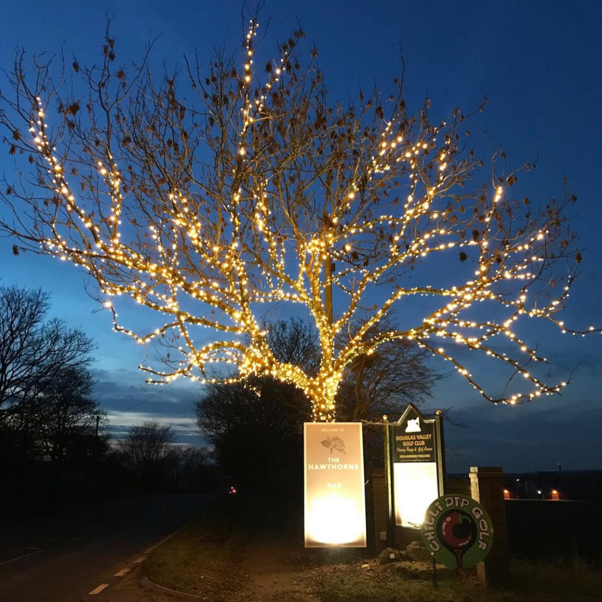 Lights4You 66ft (20m) 120 LED Warm White Outdoor String Lights Lights4You 66ft (20m) 120 LED Warm White Outdoor String Lights