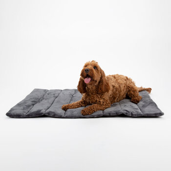 Scruffs Reversible Roll Up Travel Bed, 100cm x 70cm in 3 Colours