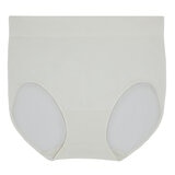 Carole Hochman Seamless Brief 5 Pack in White, Grey & Pink