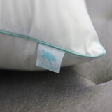 Image of AllErease Recycled Pure Firbrefill Pillow, 2 Pack