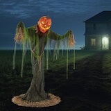 Buy Pumpkin Scarecrow Lifetstyle image at costco.co.uk