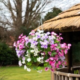 Artificial Flower Hanging Basket in 3 Colours Artificial Flower Hanging Basket in 3 Colours