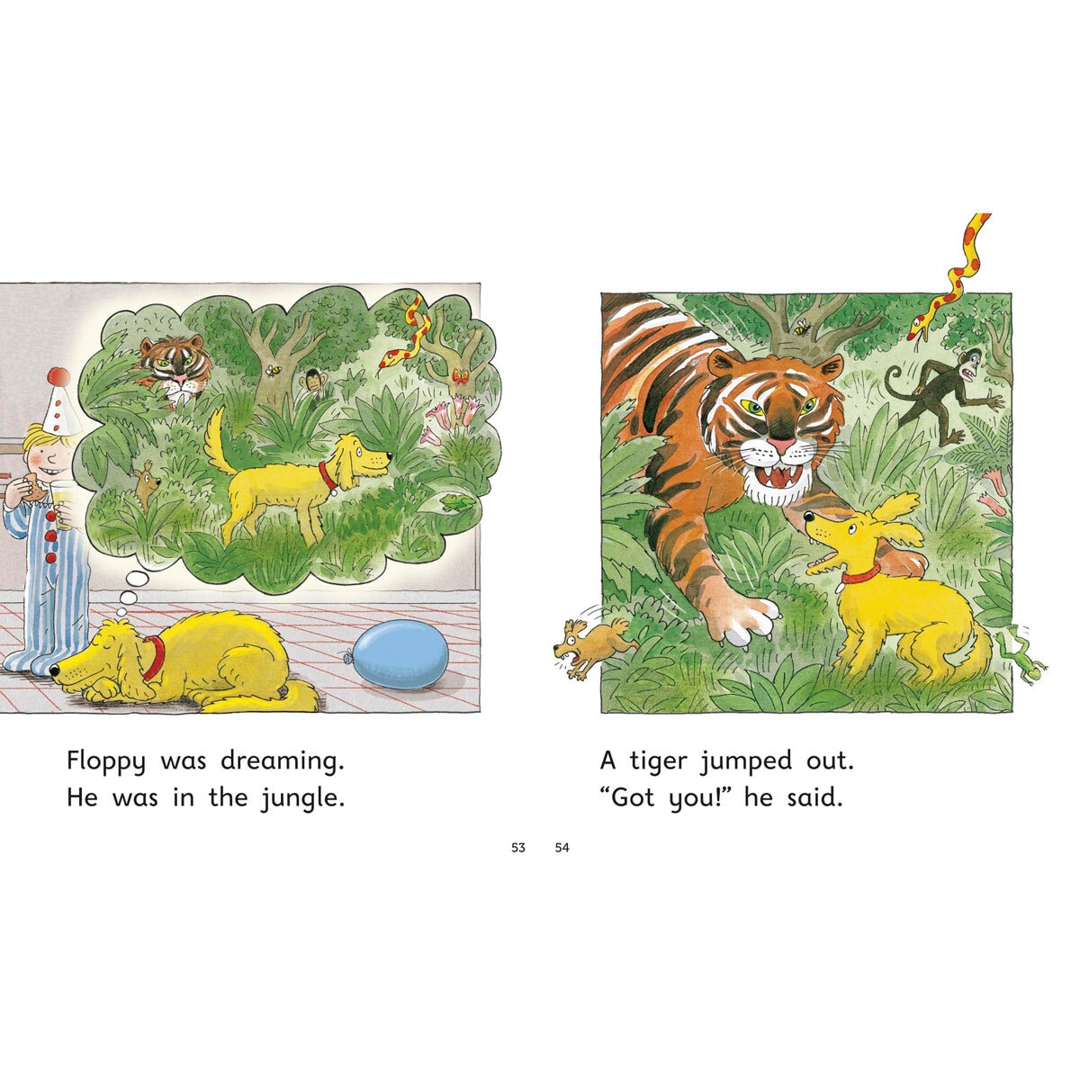 Biff Chip and Kipper 4 Book Set (4-5+ Years)