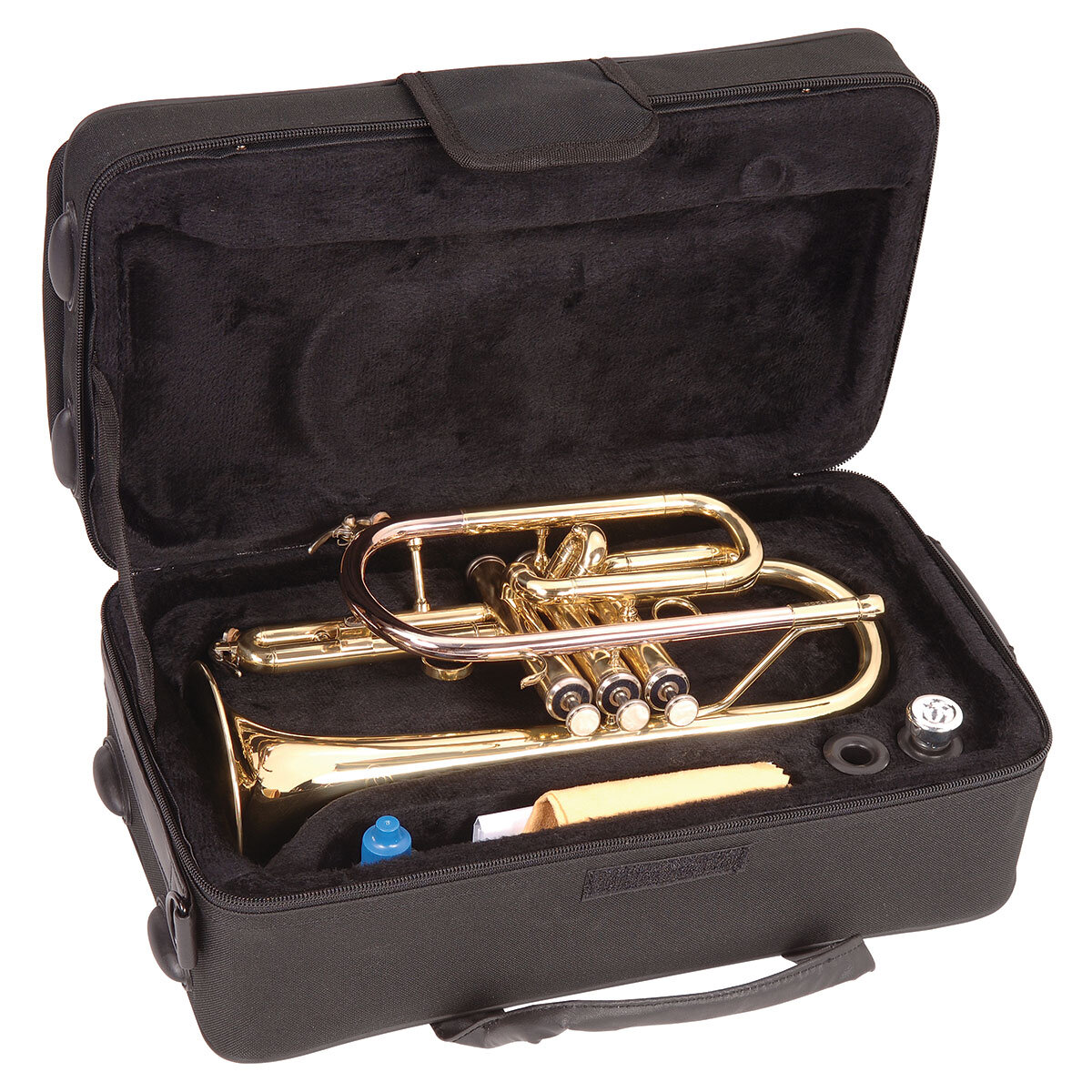 Photo of cornet with case