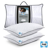 Sealy Deeply Full Pillow two pack