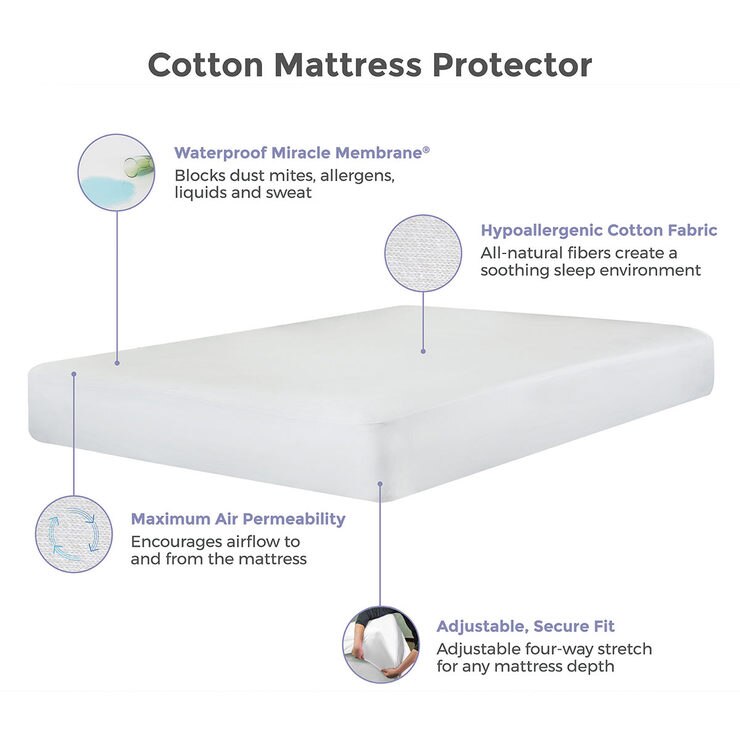 Protect-A-Bed Cotton Mattress Protector in 4 Sizes | Costco UK