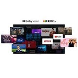 Dolby vision