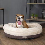 Lifestyle image of pet bed with dog