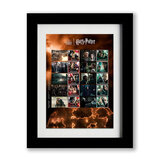 Official Harry Potter 2023 Framed Collectors Sheet , By Royal Mail