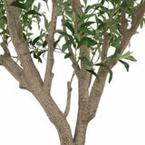 Artificial 8ft Olive Tree in Planter Artificial 8ft Olive Tree in Planter
