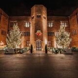 Lights4You 66ft (20m) 120 LED Warm White Outdoor String Lights Lights4You 66ft (20m) 120 LED Warm White Outdoor String Lights