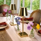 Mikasa Rechargeable Lamps in Gold