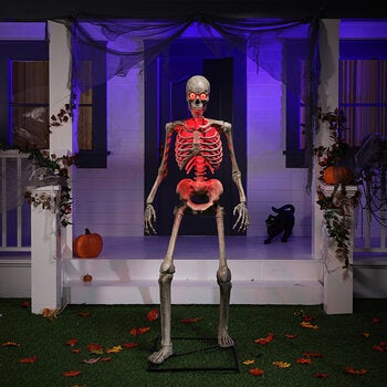 Halloween 6ft (11.8m) Animated Skeleton With LED Eyes Halloween 6ft (11.8m) Animated Skeleton With LED Eyes