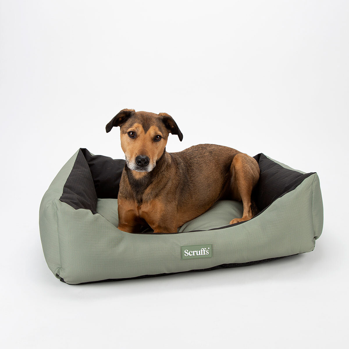 Scruffs Expedition Box Pet Bed, 24" x 19.5" (60cm x 50cm) in 4 Colours