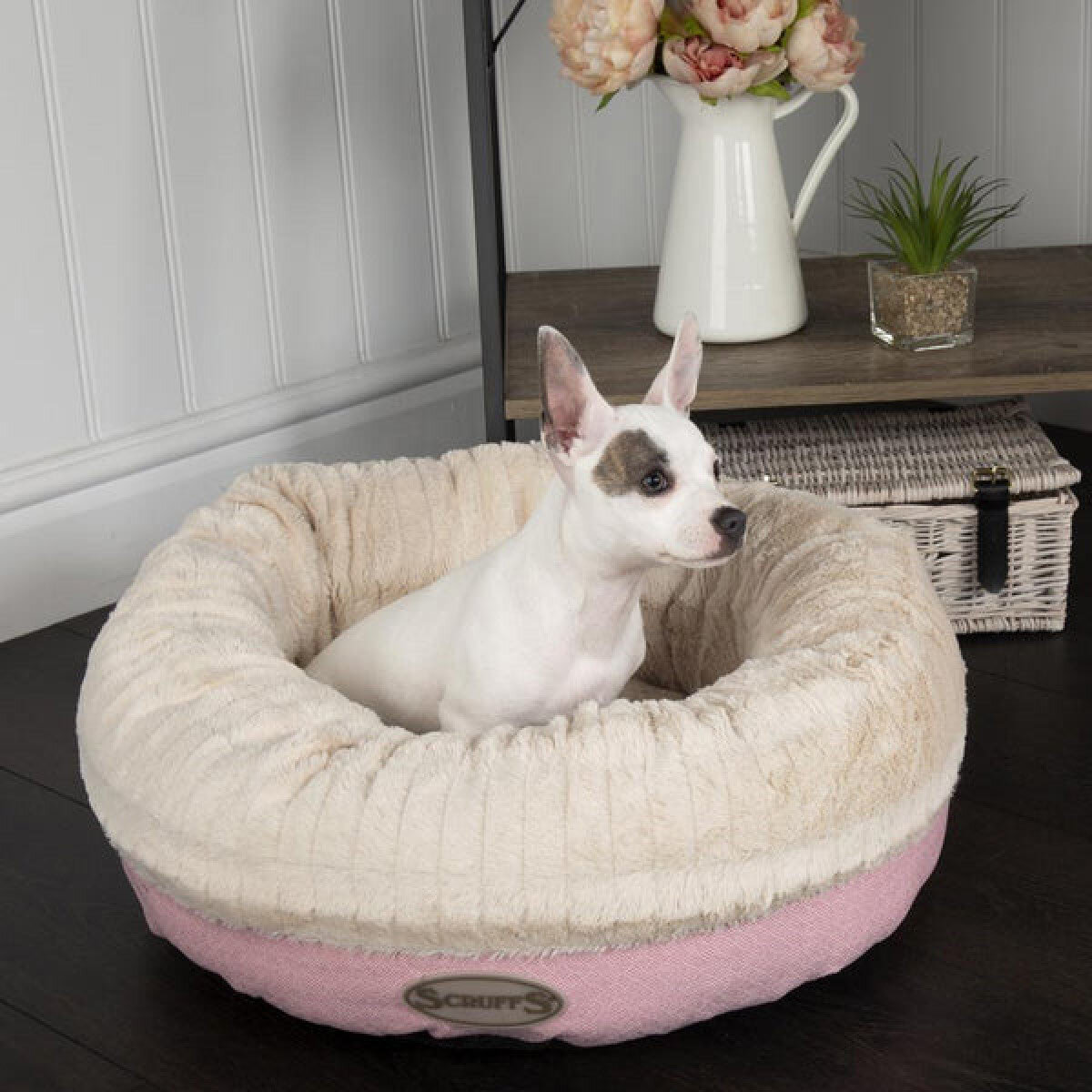 Lifestyle image of pink bed with dog resting