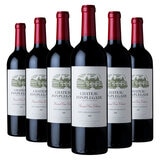 Chateau Fonplegade St Emilion GCC 2020, 6 x 75cl