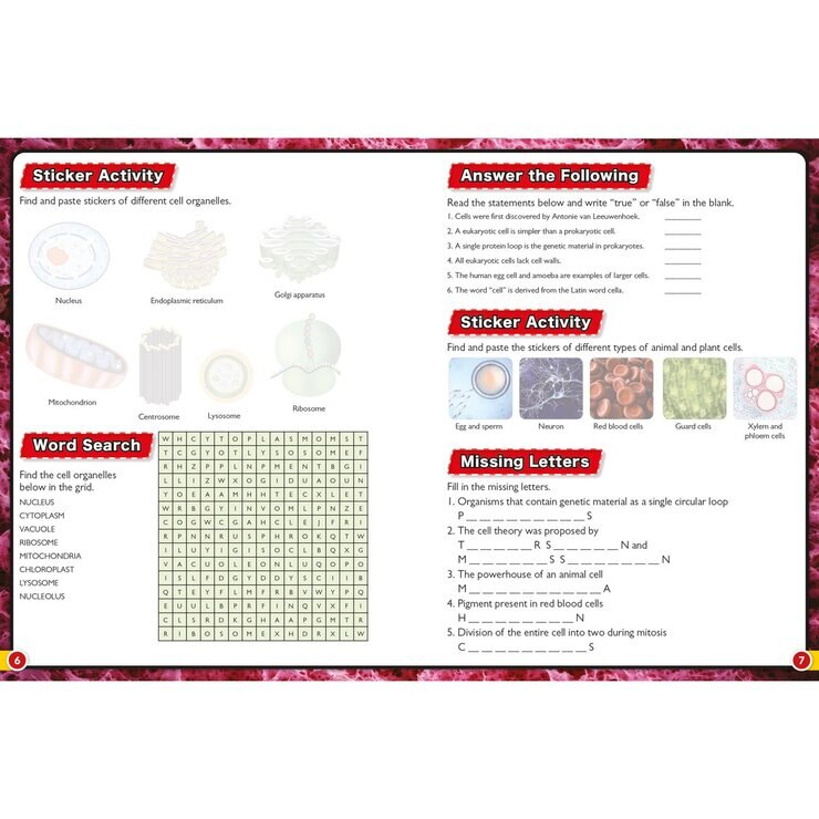 Wonders of Learning Activity Book in 2 Options: Stickers or Puzzles Wonders of Learning Activity Book in 2 Options: Stickers or Puzzles