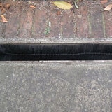 image of clear drain using hedgehog gutter brush