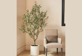 Home Furnishings Thumbnail