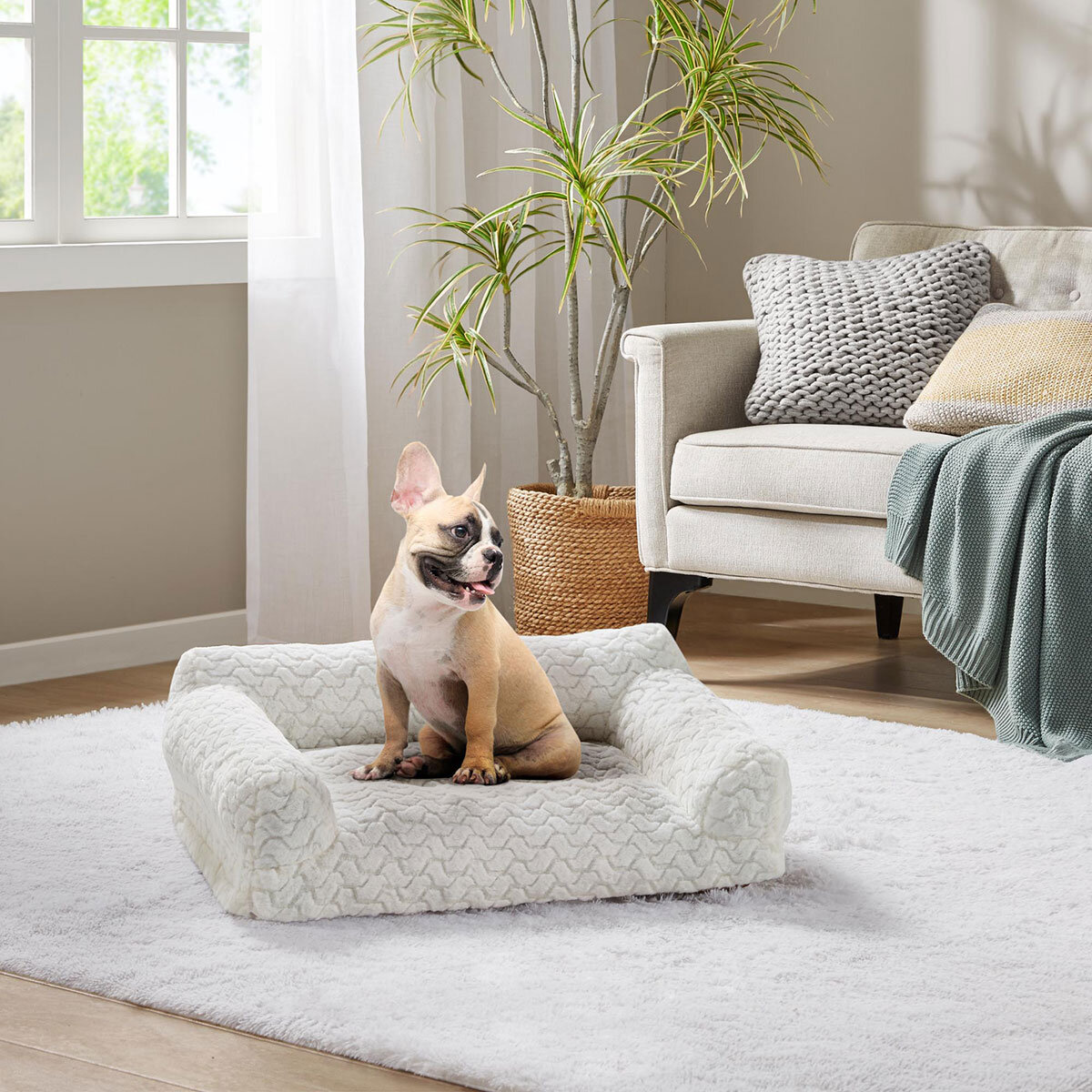 Kirkland Signature High Back Pet Sofa Bed, 56cm x 71cm in Ivory