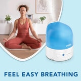 Vicks Personal Humidifier