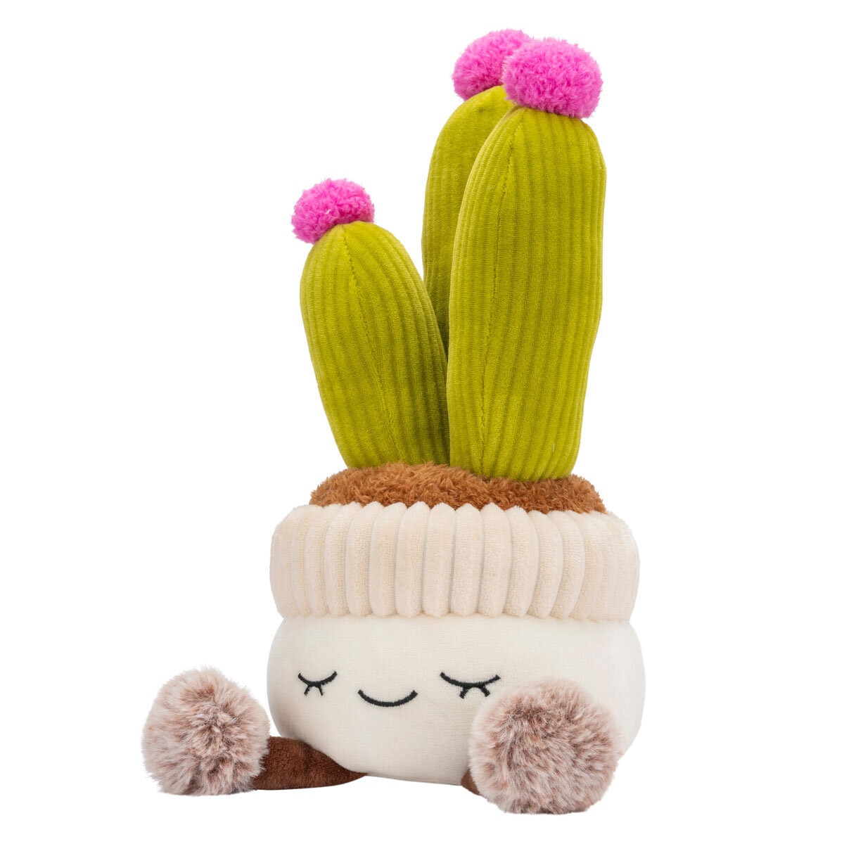 Potted Plants Cactus Item Image