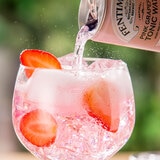 Fentimans Pink Grapefruit Tonic Water, 24 x 150ml