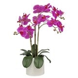 Artificial Orchid in Ribbed Ceramic Pot in 2 Colours