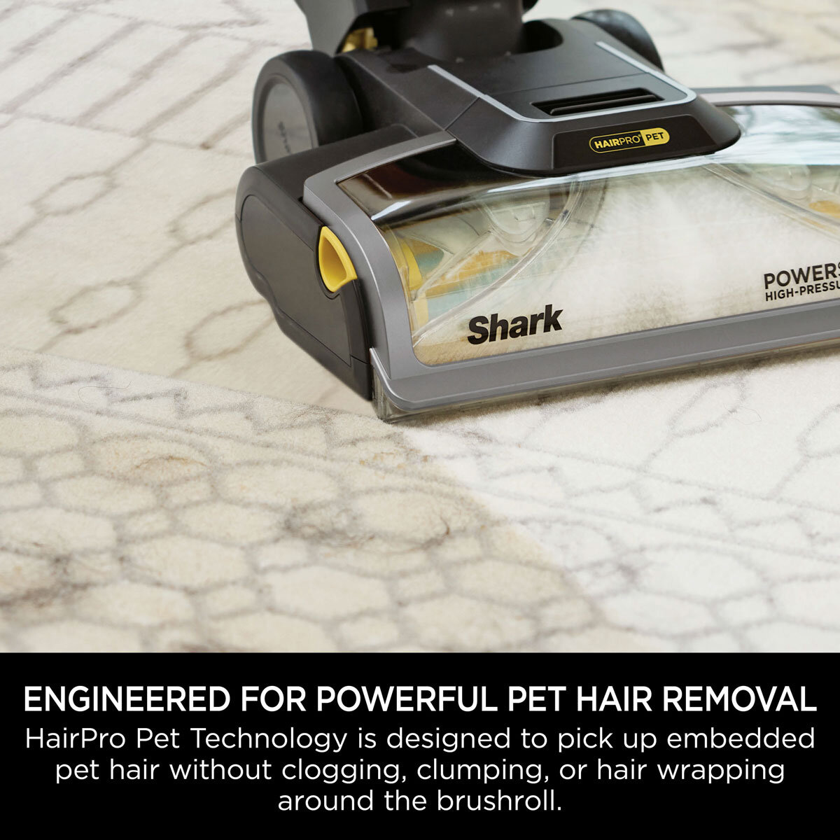 Shark CarpetXpert Carpet Cleaner Lifestyle Image