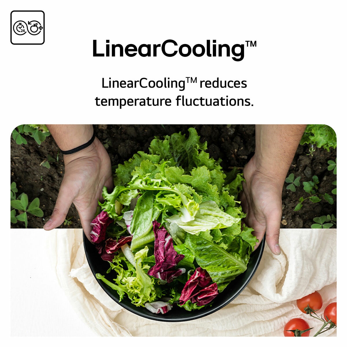 LG GBBSJ2CCPY 375L Fridge Freezer, E Rated in Silver LG GBBSJ2CCPY 375L Fridge Freezer, E Rated in Silver