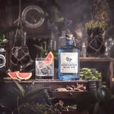 Drumshanbo Gunpowder Gin, with glass surrounded by plants